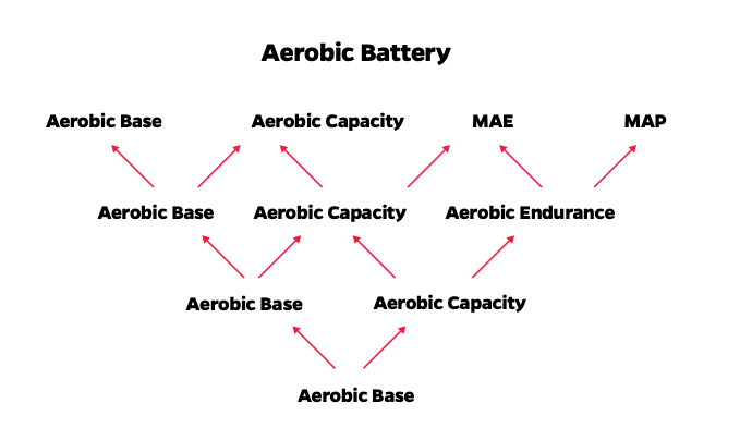 Strength Matters Aerobic Battery Tree