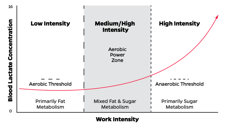 Lactate as a Measure of Intensity