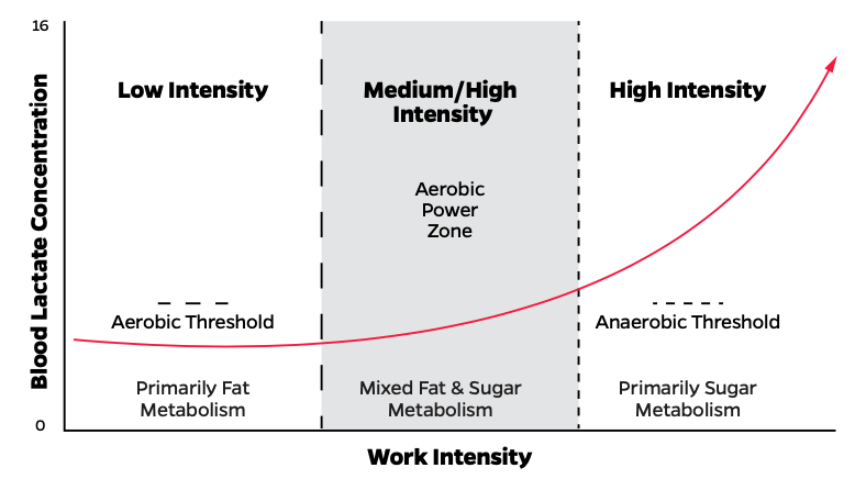 Anaerobic threshold training program sale